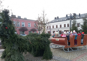 W zaprzęgu reniferów