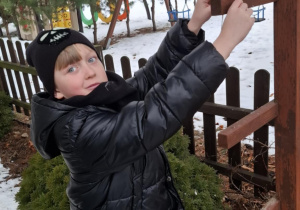 Zawieszanie przysmaków