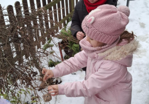 Zawieszanie przysmaków