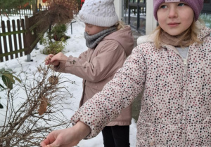 Zawieszanie przysmaków