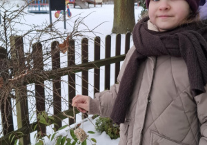 Zawieszanie przysmaków