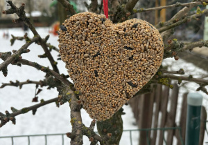 Ptasia stołówka zaprasza