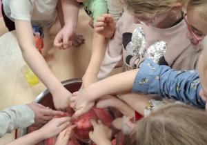 Biedronki doświadczają dotykiem