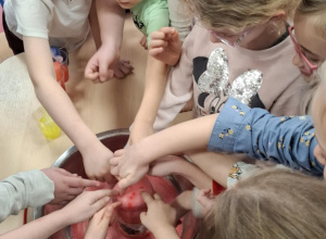 Biedronkowe eksperymentowanie