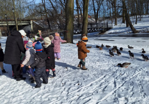 Dzieci przygotowują się do karmienia kaczek
