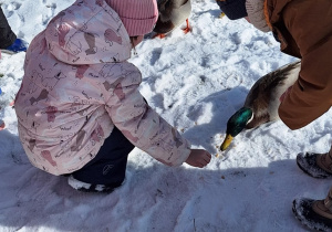 Dzieci karmią kaczki