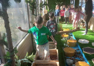Sarenki brodzą w skrzynkach.