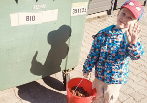 Antoś pomagał w sprzątnięciu zeszłorocznych roślin