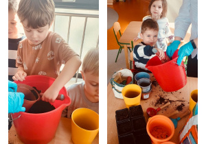 Przesadzanie kwiatów