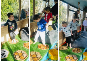 Ścieżka sensoryczna