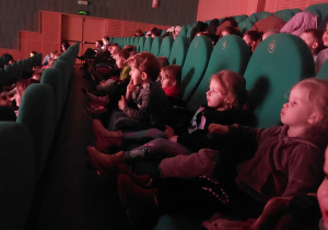 Niedźwiadki oglądają film