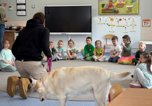 Dzieci poznają suczkę Zumę