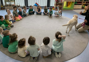 Zuma i jej sztuczki.