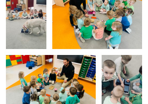 Zajęcia z dogoterapii