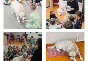 Zajęcia z dogoterapii