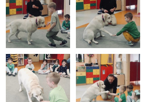 Zajęcia z dogoterapii