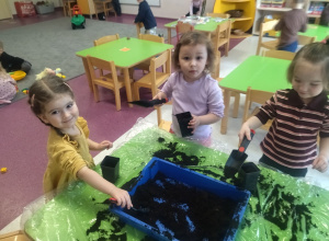 Projekt "Co z tego wyrośnie?" cz.1