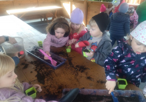 dzieci sieją nasiona