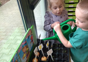 dzieci podlewają rośliny