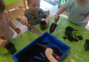 dzieci zakładają hodowlę roślin