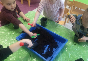 sianie roślin w doniczkach