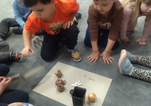 dzieci oglądają nasiona i cebule