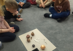 dzieci na dywanie z różnymi nasionami