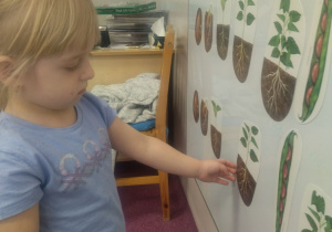 dziewczynka przy tablicy pokazuje ilustracje