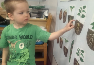 chłopiec wskazuje zdjęcie