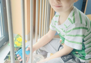 Należy go również podlewać