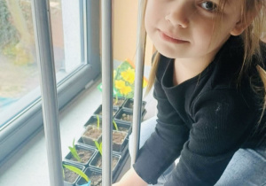 Należy go również podlewać