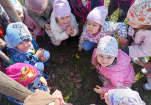 Dzieci podziwiają pierwsze wiosenne kwiaty.