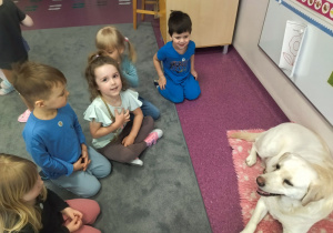 pies na swoim posłaniu