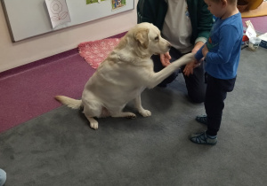 Natan wita się z psem