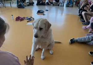 Zosia przywitanie z psem