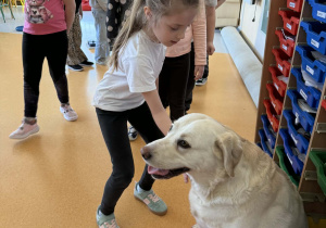 Maja przywitanie z psem