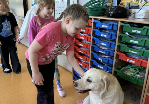 Amelka przywitanie z psem