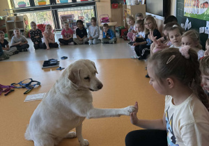 Klara przywitanie z psem