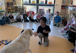 Zoja przywitanie z psem