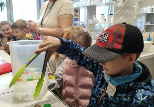 Chłopiec bierze udział w eksperymencie