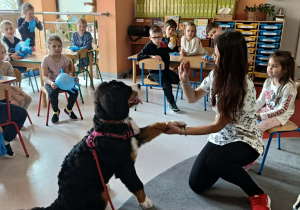 Tajniki pracy weterynarza