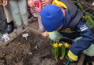 Prace porządkowe na grządce w ogrodzie przedszkolnym