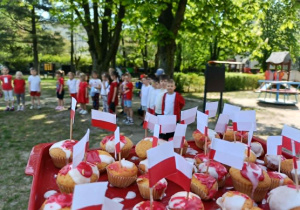 Babeczki patriotyczne