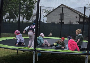 Skaczemy na trampolinie