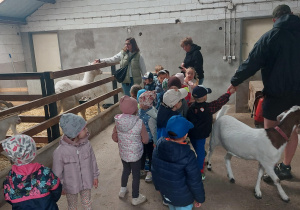 Zapoznanie ze zwierzętami