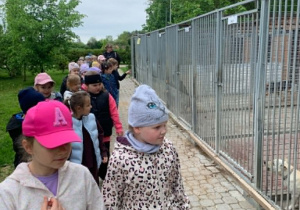 Rybki poznają podopiecznych schroniska