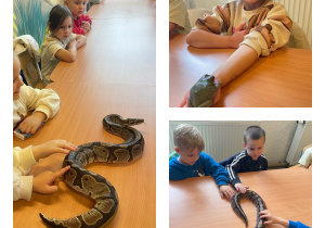 ZOO Płock