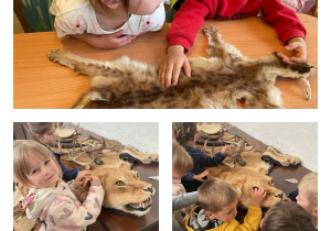 ZOO Płock