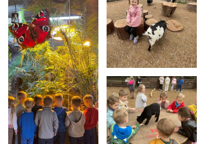 ZOO Płock