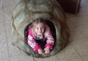 Klara w skorupie żółwia.